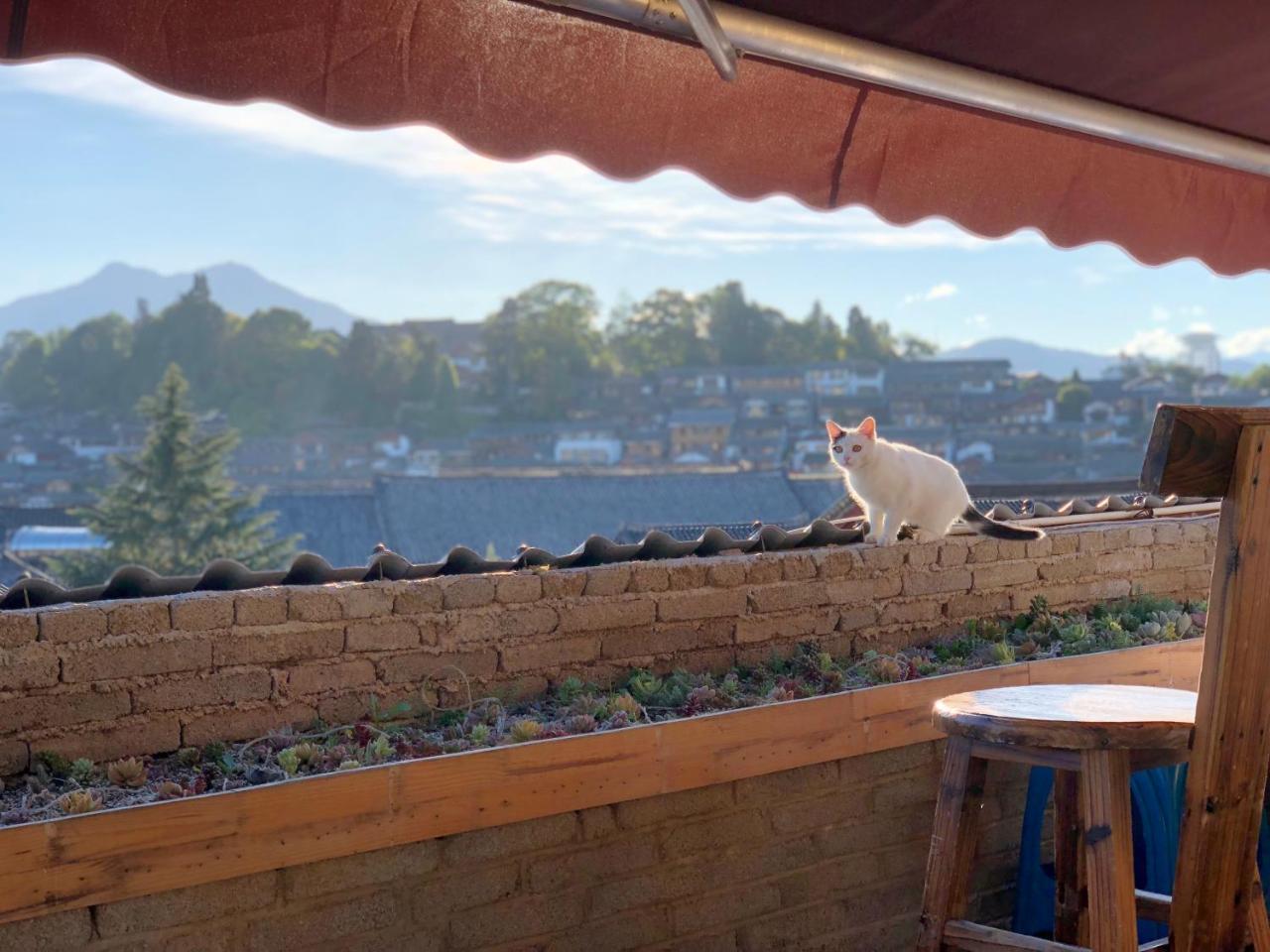 第三极国际青旅花巷店 Lijiang (Yunnan) Zewnętrze zdjęcie